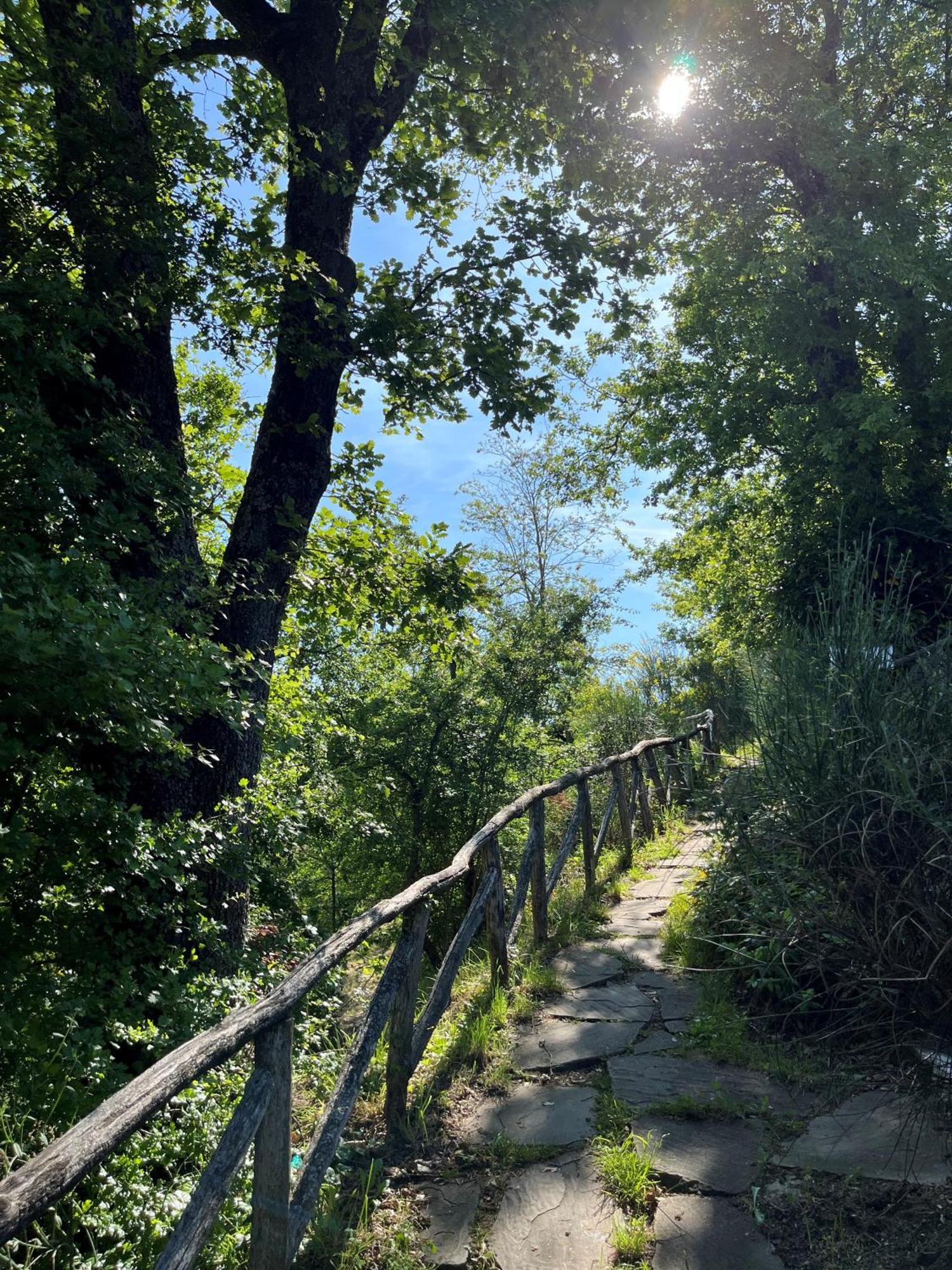 Appartamento La Dimora Di Dafne 48 Monzuno Esterno foto